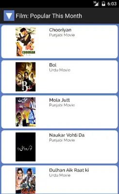 Vidpk android App screenshot 4